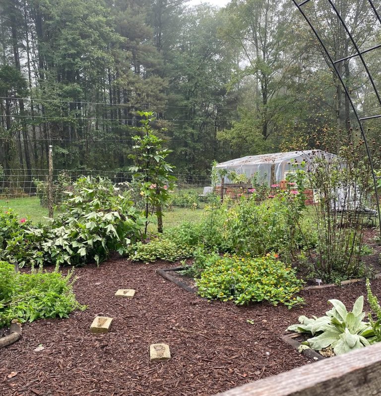 Sustainable Choices for 2026